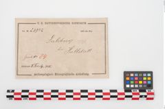 Etiketten zu Bronzebrillenfibel (NHMW-PRAE-023932)